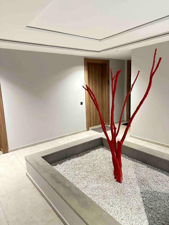 Cosy Appartement Au Centre De 카사블랑카 외부 사진